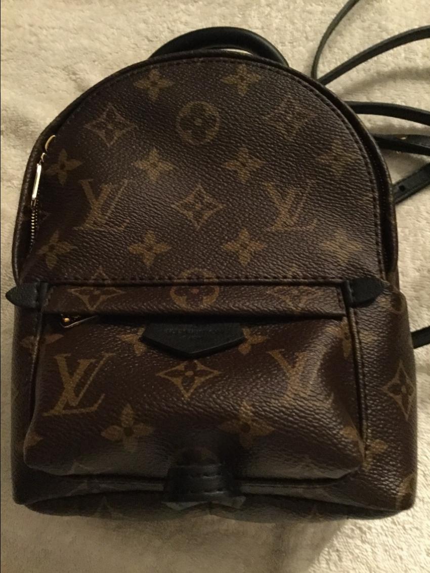 Louis Vuitton Palm Springs Mini Backpack at 1stDibs  louis vuitton palm  springs backpack, lv palm springs mini, lv palm springs backpack mini