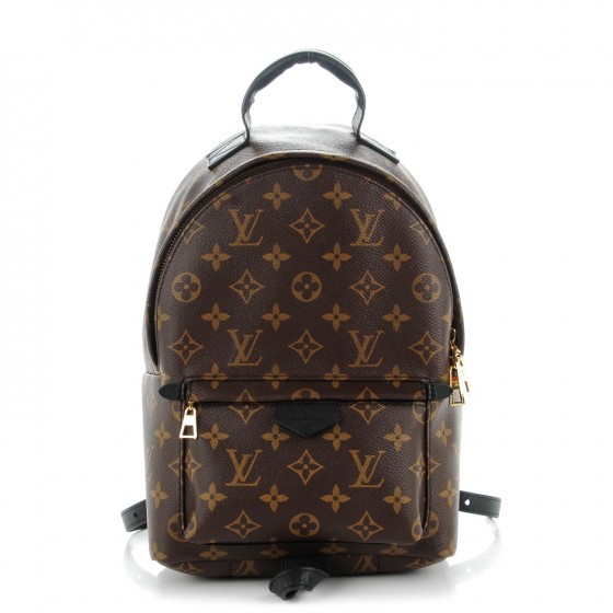Louis Vuitton Palm Springs Mini Backpack 1 | HEWI