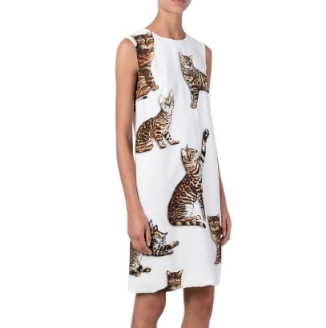 Dolce Gabbana Bengal Cat Print Dress | HEWI