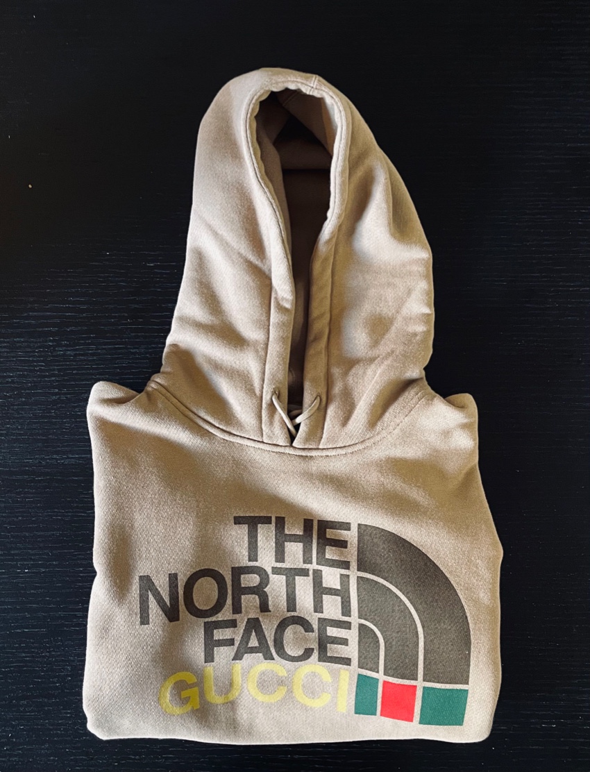 Gucci X The North Face Cotton Hoodie In Brown 1 | HEWI