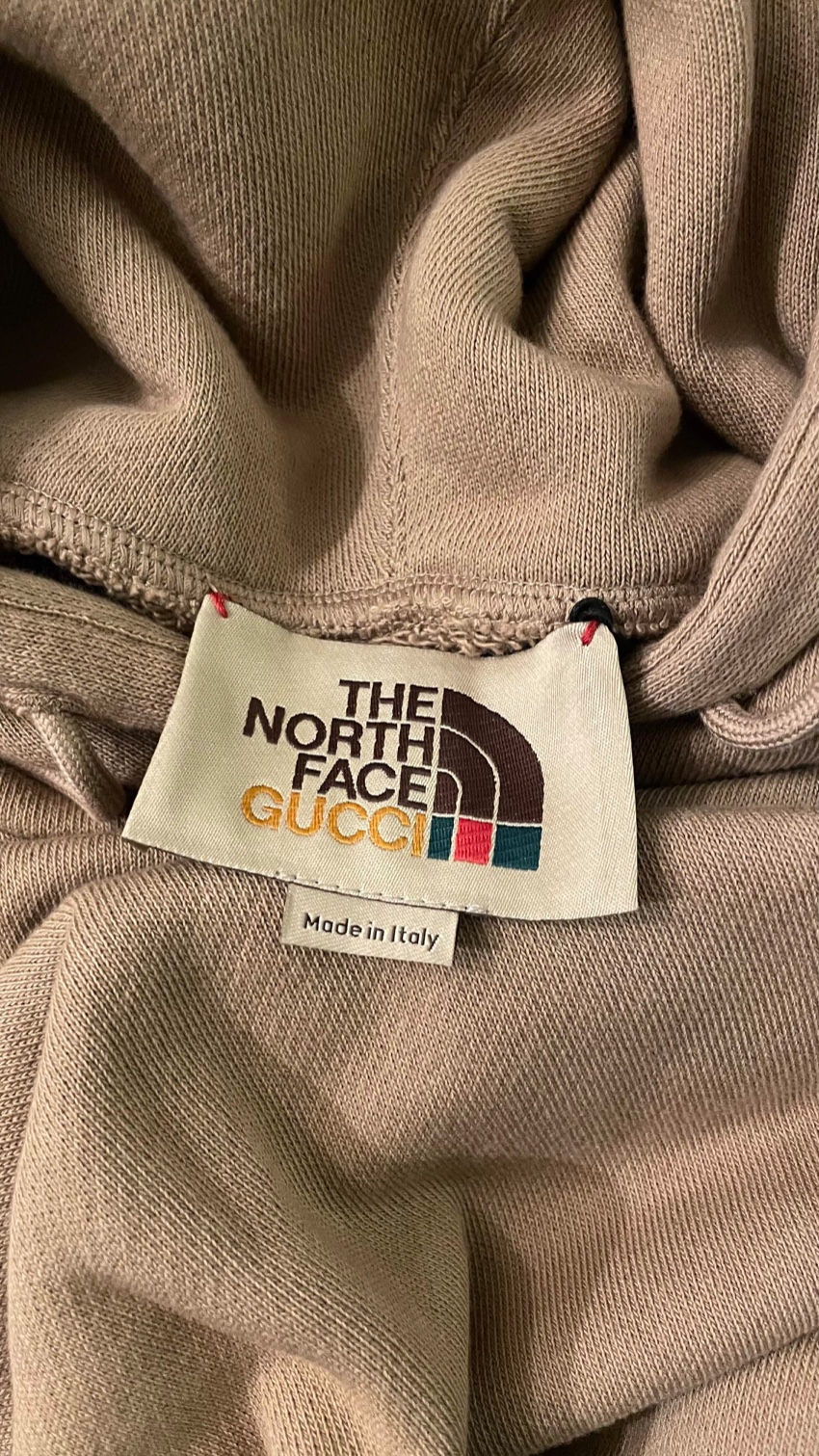 Gucci X The North Face Cotton Hoodie In Brown 1 | HEWI