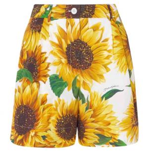 Dolce & Gabbana Sunflower Print Tailored Shorts