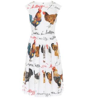 Dolce & Gabbana Cotton Polin Hen print Dress