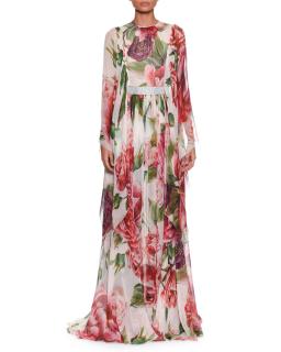 Dolce & Gabbana Roseto Printed Silk Chiffon Gown