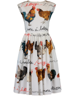 Dolce & Gabbana White Cotton Hen Print Dress