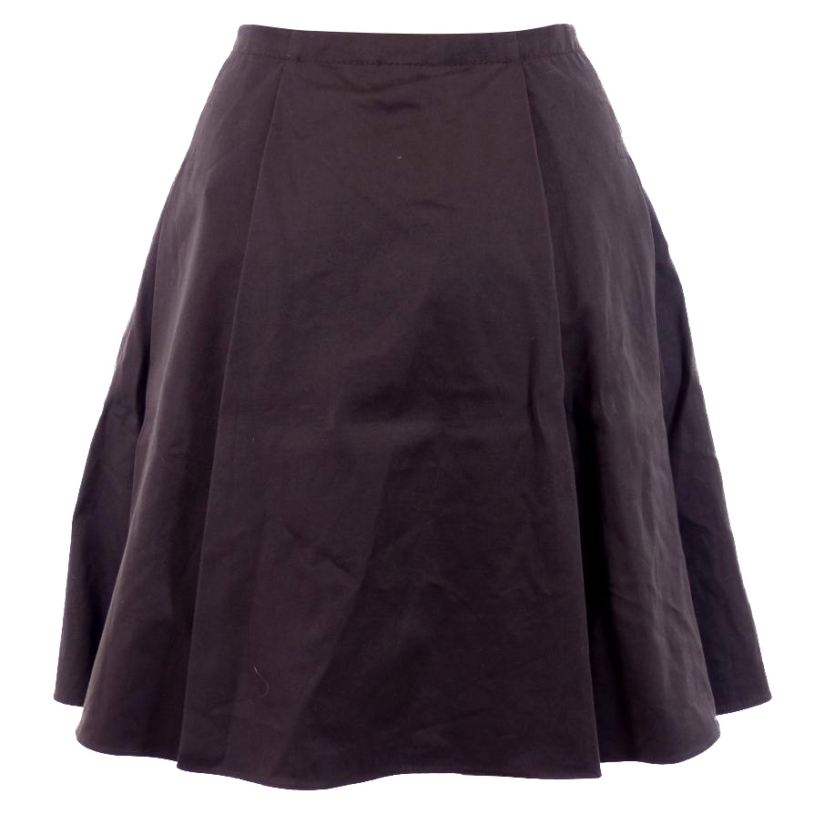 Celine Runway Plump Pleated Skirt | HEWI